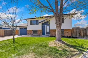803 Table Mountain Ct, Windsor, CO 80550 - Photo 30