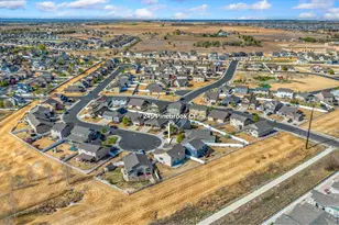 245 Pinebrook Ct, Windsor, CO 80550 - Photo 4