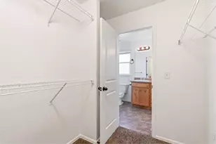 245 Pinebrook Ct, Windsor, CO 80550 - Photo 28