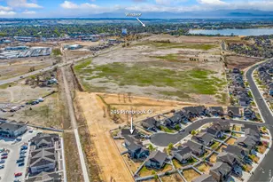 245 Pinebrook Ct, Windsor, CO 80550 - Photo 44