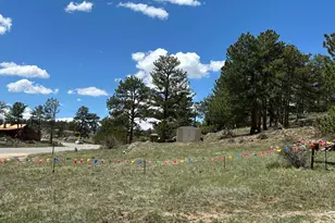 885 Co Rd 67J, Red Feather Lakes, CO 80545 - Photo 30