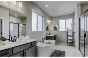 662 Noola St, Windsor, CO 80550 - Photo 2