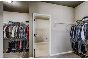 662 Noola St, Windsor, CO 80550 - Photo 12