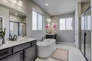 662 Noola St, Windsor, CO 80550 - Photo 2