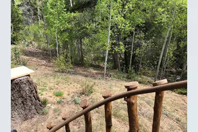 131 County Road 90, Allenspark, CO 80510 - Photo 26
