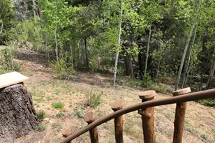 131 Co Rd 90, Allenspark, CO 80510 - Photo 26