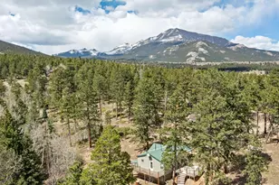 131 Co Rd 90, Allenspark, CO 80510 - Photo 22