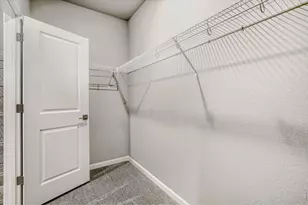 648 Noola St, Windsor, CO 80550 - Photo 18