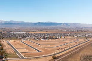 648 Noola St, Windsor, CO 80550 - Photo 26