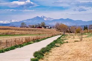 295 Gray Jay Ct, Berthoud, CO 80513 - Photo 38