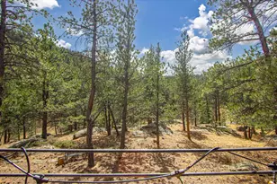 117 Aspen Dr, Lyons, CO 80540 - Photo 8