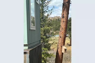 410 Monoma Rd, Red Feather Lakes, CO 80545 - Photo 8