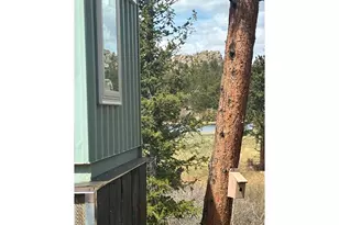 410 Monoma Rd, Red Feather Lakes, CO 80545 - Photo 8