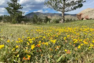 294 Wedge Rock Dr, Lyons, CO 80540 - Photo 2