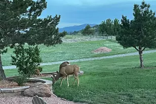 294 Wedge Rock Dr, Lyons, CO 80540 - Photo 36
