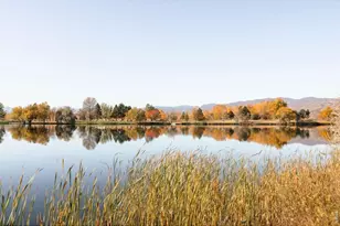 7009 Rozena Dr, Longmont, CO 80503 - Photo 48