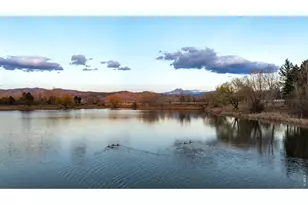 7009 Rozena Dr, Longmont, CO 80503 - Photo 50