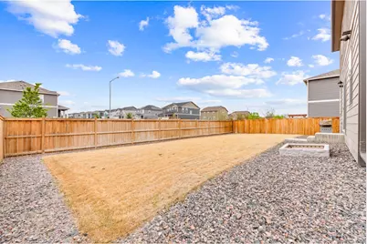 6427 Coralbell St, Wellington, CO 80549 - Photo 30