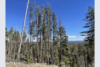 66 Piegan Ct, Red Feather Lakes, CO 80545 - Photo 6