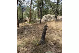 8 Estes Park Estates Dr, Lyons, CO 80540 - Photo 26
