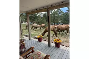 820 Riverside Dr, Estes Park, CO 80517 - Photo 34