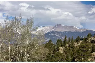 3505 St Francis Way, Estes Park, CO 80517 - Photo 44