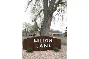 2924 Ross Dr, Fort Collins, CO 80526 - Photo 26