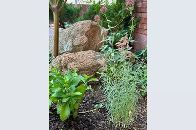 2463 Broadway St #2, Boulder, CO 80304 - Photo 26