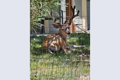 1761 Wildfire Rd, Estes Park, CO 80517 - Photo 40