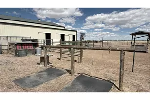 16498 County Rd 100, Nunn, CO 80648 - Photo 30