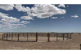 16498 County Rd 100, Nunn, CO 80648 - Photo 24
