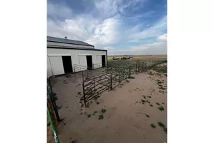 16498 County Rd 100, Nunn, CO 80648 - Photo 32