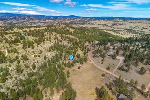 121 Manhead Mountain Dr, Livermore, CO 80536 - Photo 8