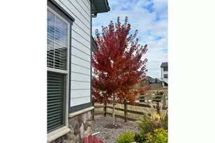 389 Bronco Ct, Berthoud, CO 80513 - Photo 4