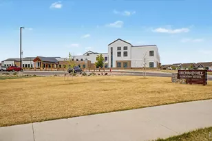 2069 Day Spring Dr, Windsor, CO 80550 - Photo 40