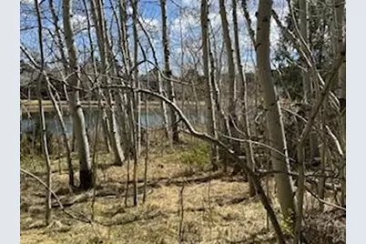 400 Fox Acres Dr W, Red Feather Lakes, CO 80545 - Photo 2