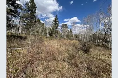 400 Fox Acres Dr W, Red Feather Lakes, CO 80545 - Photo 12