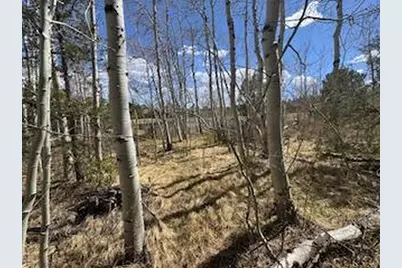 400 Fox Acres Dr W, Red Feather Lakes, CO 80545 - Photo 8