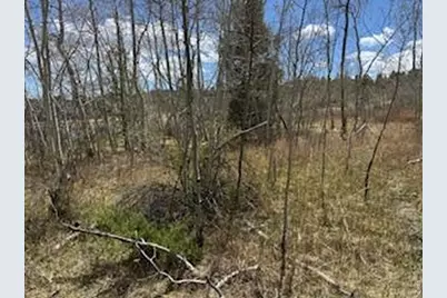 400 Fox Acres Dr W, Red Feather Lakes, CO 80545 - Photo 14