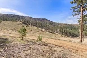2205 James Park Trail, Loveland, CO 80537 - Photo 32