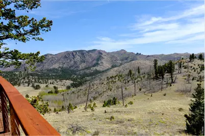 329 County Road 87J, Jamestown, CO 80455 - Photo 40