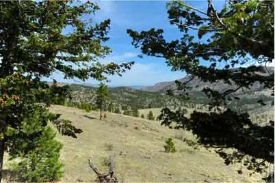 329 County Road 87J, Jamestown, CO 80455 - Photo 42