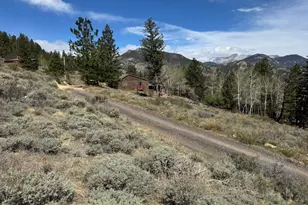 1241 Giant Track Rd, Estes Park, CO 80517 - Photo 2