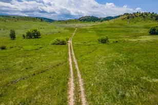11881 W County Rd 74e, Livermore, CO 80536 - Photo 42