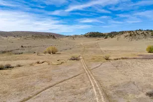 11881 W County Rd 74e, Livermore, CO 80536 - Photo 38