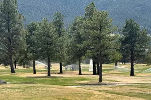 1449 Matthew Cir, Estes Park, CO 80517 - Photo 26