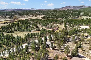 24244 W County Rd 74e, Red Feather Lakes, CO 80545 - Photo 6