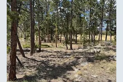2215 Fox Acres Dr E, Red Feather Lakes, CO 80545 - Photo 22