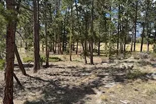2215 Fox Acres Dr E, Red Feather Lakes, CO 80545 - Photo 22
