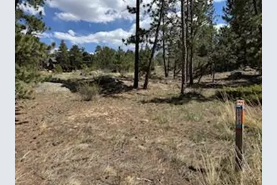 2215 Fox Acres Dr E, Red Feather Lakes, CO 80545 - Photo 30